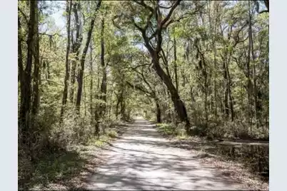 1636 Wharf Ferry Road, Edisto Island, SC 29438 - Photo 67