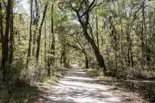 1636 Wharf Ferry Rd, Edisto Island, SC 29438 - Photo 67