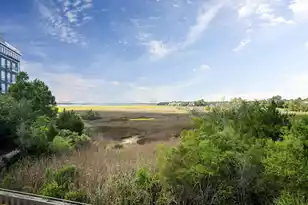 155 Wingo Way, Mount Pleasant, SC 29464 - Photo 43