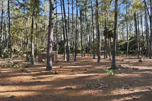 0 Rose Island Rd, Port Royal, SC 29935 - Photo 53