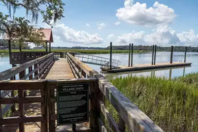 250 Distant Island Drive, Beaufort, SC 29907 - Photo 65