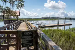 250 Distant Is Dr, Beaufort, SC 29907 - Photo 65