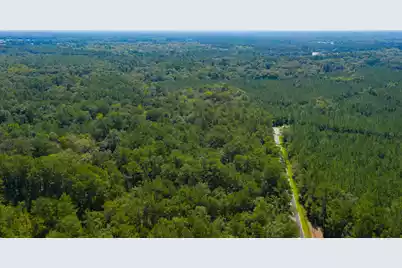 0 Dennis Britt Road, Saint George, SC 29477 - Photo 13