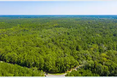 0 Dennis Britt Road, Saint George, SC 29477 - Photo 5