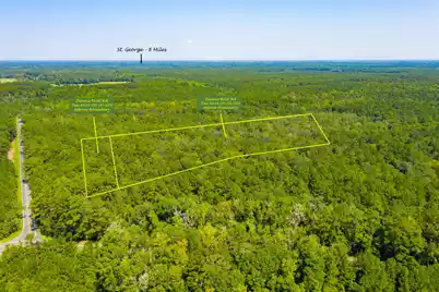 0 Dennis Britt Road, Saint George, SC 29477 - Photo 3