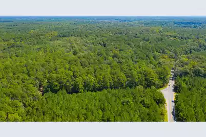 0 Dennis Britt Road, Saint George, SC 29477 - Photo 21