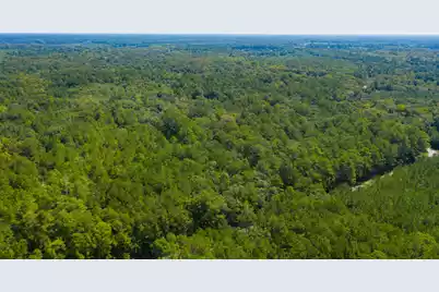0 Dennis Britt Road, Saint George, SC 29477 - Photo 19