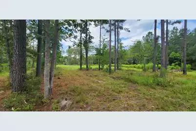 0 Addidas Street, Eutawville, SC 29048 - Photo 5