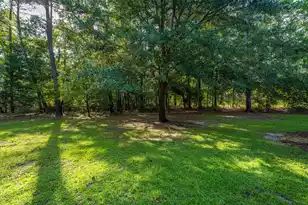 1171 Ballyliffen Dr, Mount Pleasant, SC 29466 - Photo 29