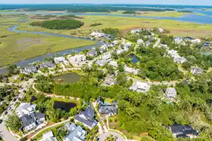 214 Fell Pt, Daniel Island, SC 29492 - Photo 97