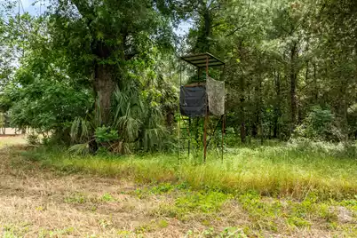 741 Jones Road, Lake City, SC 29560 - Photo 67