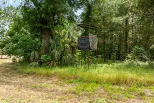 741 Jones Rd, Lake City, SC 29560 - Photo 67