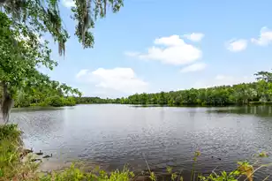741 Jones Rd, Lake City, SC 29560 - Photo 21