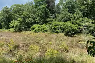 5212 Wagener Rd, Salley, SC 29137 - Photo 9