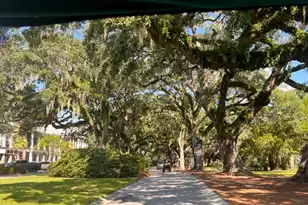 130 River Landing Dr, Charleston, SC 29492 - Photo 37