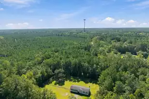 8149 Bing Hill Rd, Adams Run, SC 29426 - Photo 25