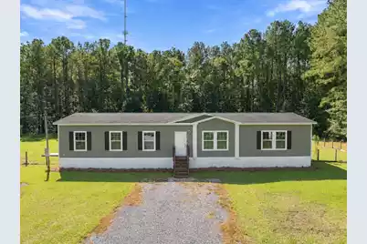 8149 Bing Hill Road, Adams Run, SC 29426 - Photo 1