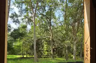1661 Blues Ln, Edisto Island, SC 29438 - Photo 21
