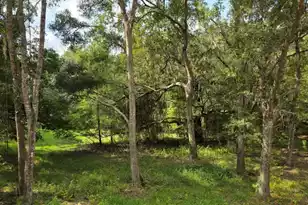 1661 Blues Ln, Edisto Island, SC 29438 - Photo 23