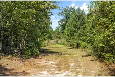 1084 Farnum Road, Orangeburg, SC 29118 - Photo 103