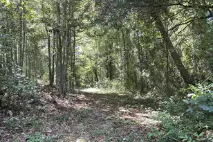189 Kiefer Ct, Cameron, SC 29030 - Photo 21