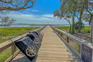 310 Longshore St, Charleston, SC 29492 - Photo 69