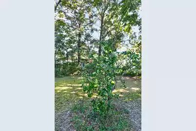 1887 Saint Julian Drive, Charleston, SC 29407 - Photo 33