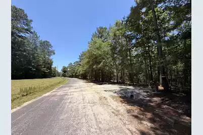 0000 Tumbleweed Road, Smoaks, SC 29481 - Photo 5