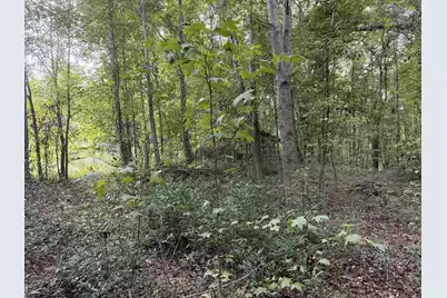 249 Cr-4, Fairfax, SC 29827 - Photo 7