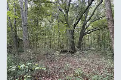 249 Cr-4, Fairfax, SC 29827 - Photo 5