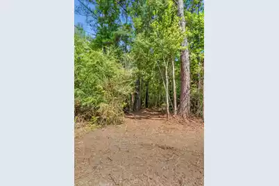 0 Campbell Road, Ridgeville, SC 29472 - Photo 3
