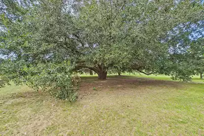 308 Michelle Street, Eutawville, SC 29048 - Photo 57
