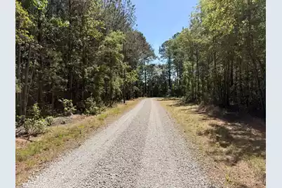 0000 Cottage Lane, Saint Stephen, SC 29479 - Photo 5