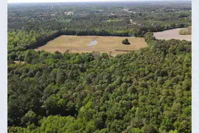 0000 Cottage Lane, Saint Stephen, SC 29479 - Photo 7