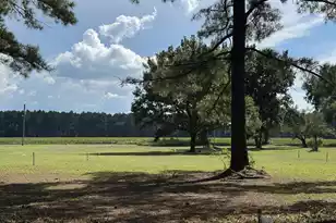 00 Caw Caw Swamp, Brunson, SC 29911 - Photo 1