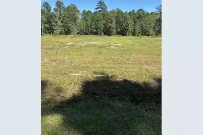 4334 Mt Carmel Road, Walterboro, SC 29488 - Photo 3