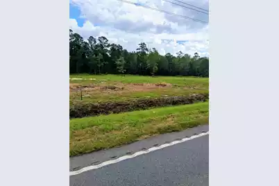4334 Mt Carmel Road, Walterboro, SC 29488 - Photo 1