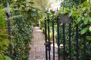 69 Church St, Charleston, SC 29401 - Photo 77