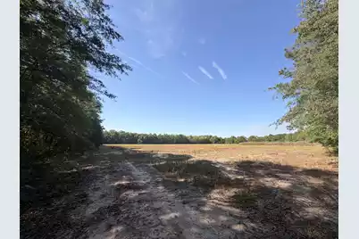 00000 Cottage Lane, Saint Stephen, SC 29479 - Photo 9
