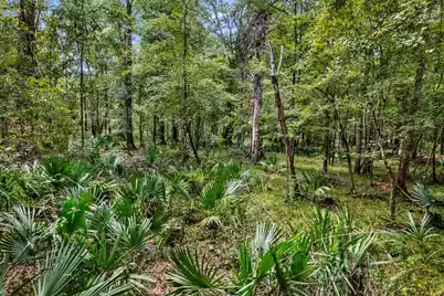 7884 Peirce Road, Ridgeville, SC 29472 - Photo 67