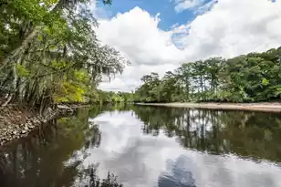 7884 Peirce Rd, Ridgeville, SC 29472 - Photo 39