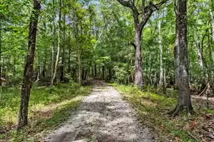 7884 Peirce Rd, Ridgeville, SC 29472 - Photo 73