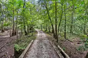 7884 Peirce Rd, Ridgeville, SC 29472 - Photo 69