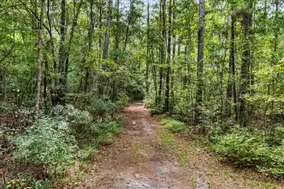 7884 Peirce Road, Ridgeville, SC 29472 - Photo 75