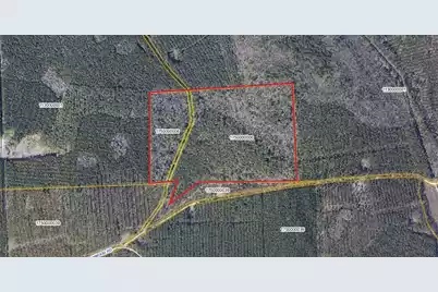 00 Greenwood Road, Adams Run, SC 29426 - Photo 3