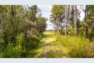 00 Greenwood Road, Adams Run, SC 29426 - Photo 21