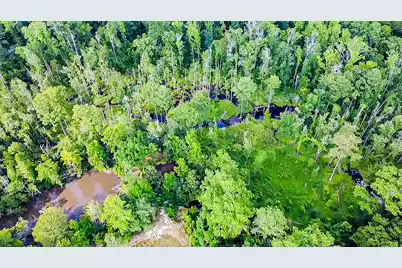0-A Mt Carmel Road, Walterboro, SC 29488 - Photo 5