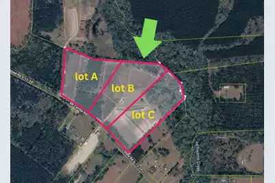 0-B Mt Carmel Road, Walterboro, SC 29488 - Photo 7