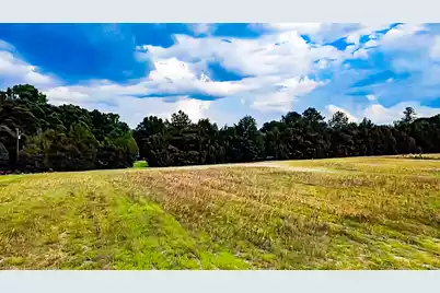 0-C Mount Carmel Road, Walterboro, SC 29488 - Photo 5