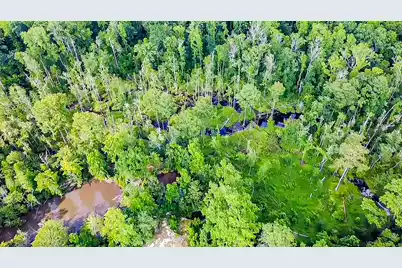 0-C Mount Carmel Road, Walterboro, SC 29488 - Photo 1